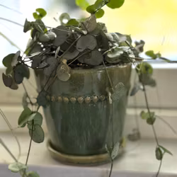 Kruka Pearl mini i 3 gröna nyanser, BGreen