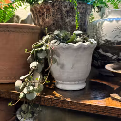 Kruka i grövre vit cement med söt volangkant - Miljögården