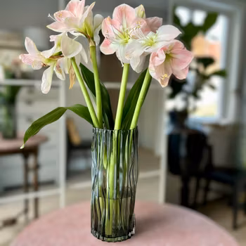 Vas hög rökfärgat glas Wikholm Form