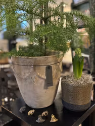 Kruka i antik finish i gråbeige nyans - Noori Objects