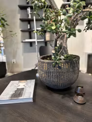 Kruka som förhöjer alla dina rum