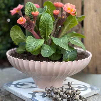 Kruka i grönt och rosa i 100% återvunnen plast