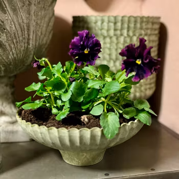 Kruka i grönt och rosa i 100% återvunnen plast
