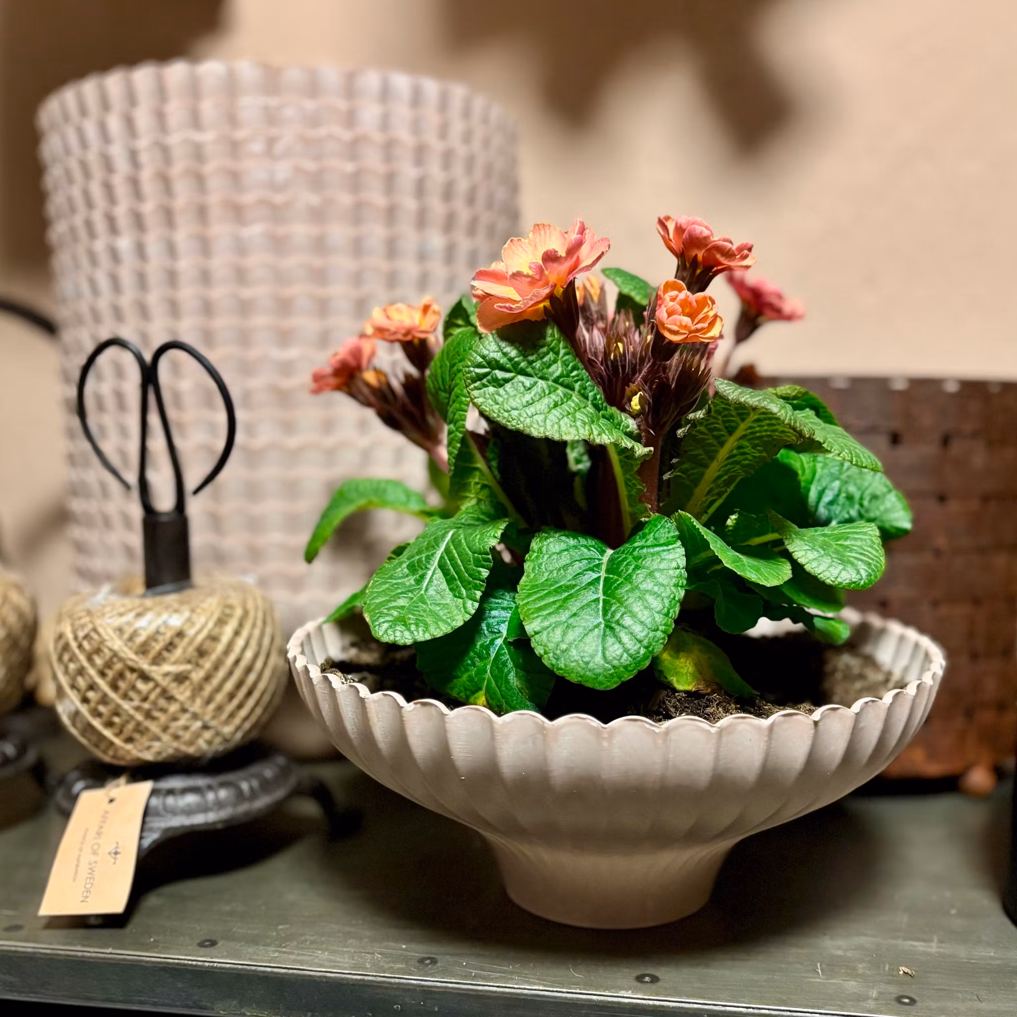 Kruka i grönt och rosa i 100% återvunnen plast