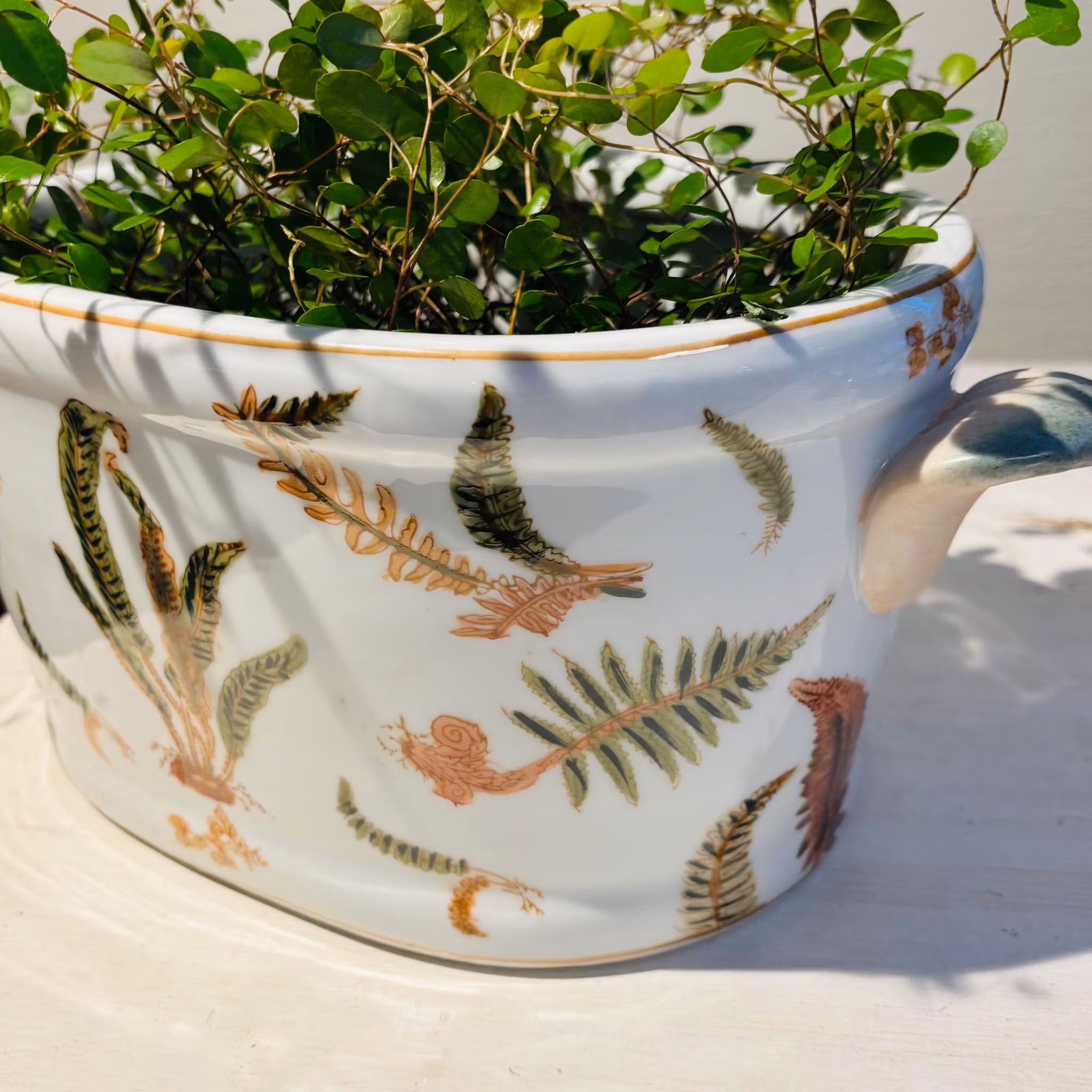 Kruka sk Jardiniere i porslin med mönster av ormbunke