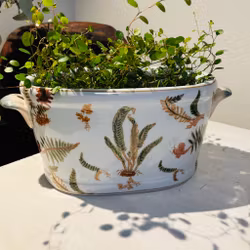 Kruka sk Jardiniere i porslin med mönster av ormbunke