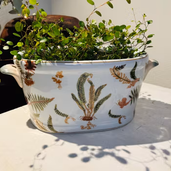Kruka sk Jardiniere i porslin med mönster av ormbunke