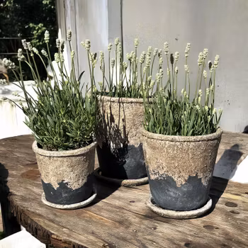 Kruka Florentina i cement, gråsvart eller ljus terrakotta