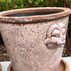 Kruka med lejonhuvud i dovt rosa, Miljögården