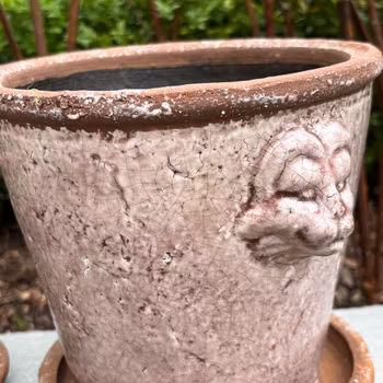 Kruka med lejonhuvud i dovt rosa, Miljögården
