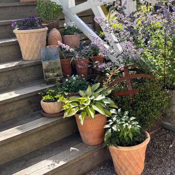 Kruka natur med fin patina, fler storlekar BGreen