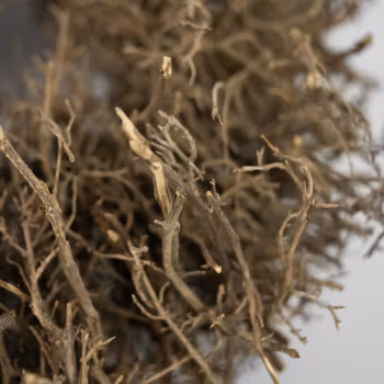 Krans för dig som vill ha något extra tillverkad av naturgrenar - 48cm - Olsson Jensen