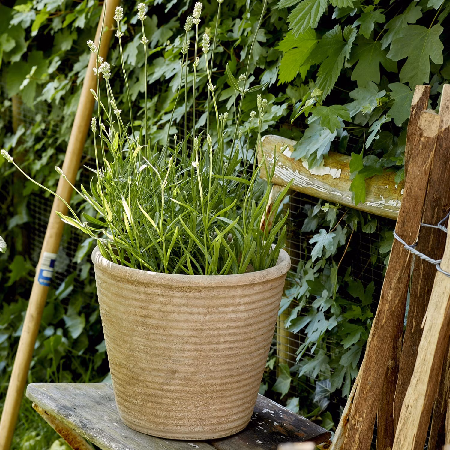 Kruka Barbara i stengods med antique wash, BGreen