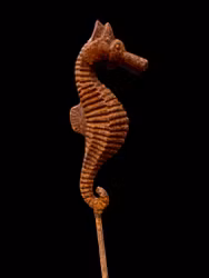 Sjöhäst på pinne i järn, Two Faces of Sweden