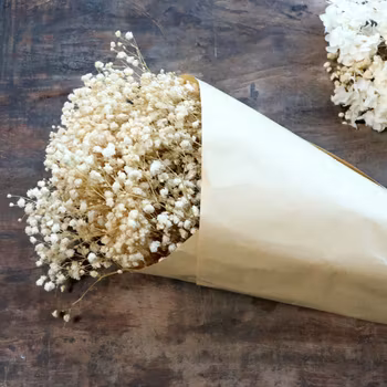 Torkad växt, brudslöja, Chic Antique