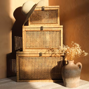 Torkad växt, brudslöja, Chic Antique