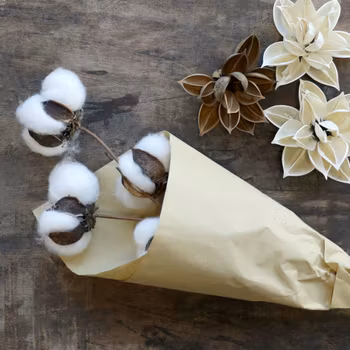 Torkad växt, bomullskvistar, Chic Antique