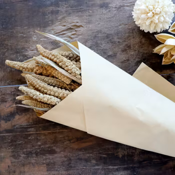 Torkad växt, Hirs, kolvar i två olika nyanser, Chic Antique