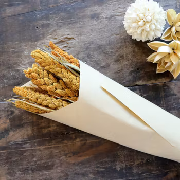 Torkad växt, Hirs, kolvar i två olika nyanser, Chic Antique