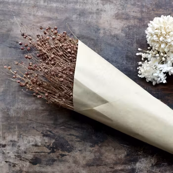 Torkad växt, lin i en brungrå nyans, Chic Antique