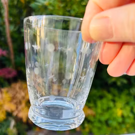 Glas vattenglas i specialkristall från Ekeberga, vintage