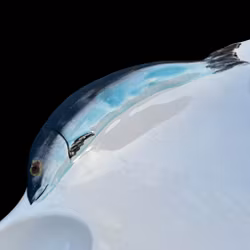 Fat - Uppläggningsfat för ägg och sill, porslin, vintage