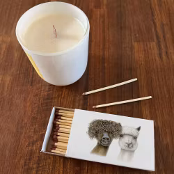 Tändstickor i lyxigt vackra stora askar -  motiv Charlotte Nicolin