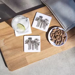 Glasunderlägg 6st i box - olika motiv av Charlotte Nicolin