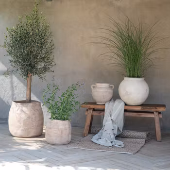 Kruka i antik terrakotta - flera storlekar