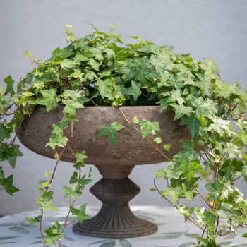 Kruka pokal i rostigt järn - 2 storlekar - Wikholm Form