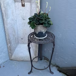 Piedestal helt i gjutjärn, Miljögården