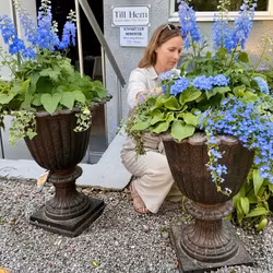 Trädgårdsurna (6) exklusiv gjutjärnskruka - Vintage
