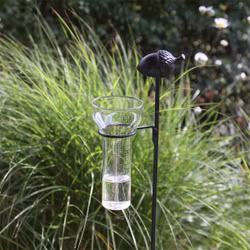 Regnmätare ekollon i svart järn - Eldgarden