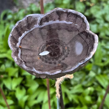 Dekoration Vallmokopp i gjutjärn - Eldgarden