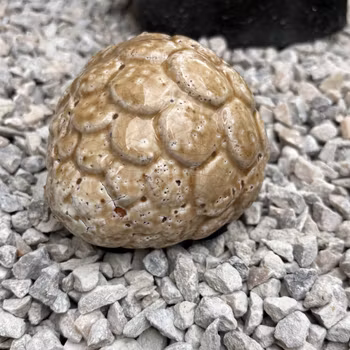Kotte som dekoration i glaserad keramik - Frejas Boning