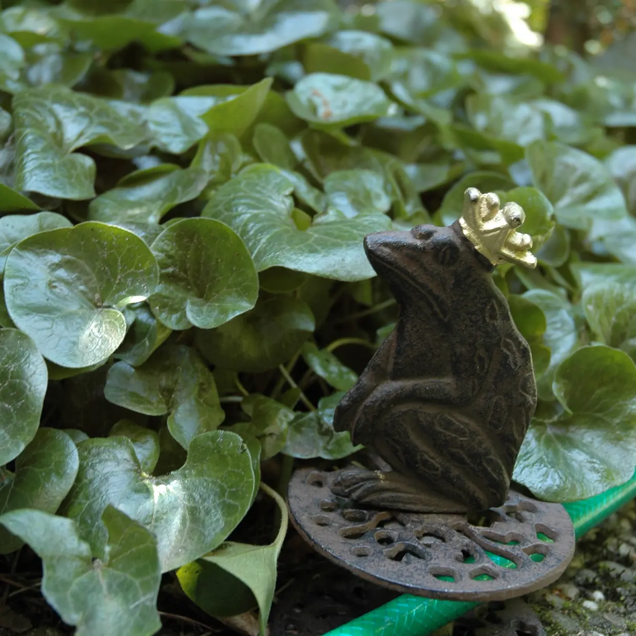 Slangguide slangledare i gjutjärn - Groda - Gardenlife