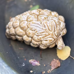 Dekoration vindruvsklase i keramik - Frejas Boning