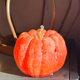 Pumpaljus för utomhusbruk - varma hösttoner