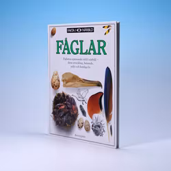 Fakta I Närbild - Fåglar - Utopian Scholastic - Bonnier Carlsen - Hardcover 1999