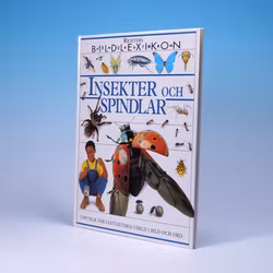 Bildlexikon - Insekter och Spindlar - Utopian Scholastic - Richters - Hardcover 1997
