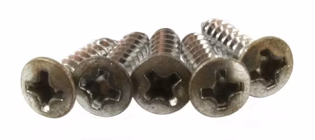 Allparts Pickguard Screws Aged Nickel 20-p