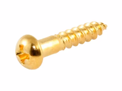 Allparts Bulk Pack of Long Machine Head Screws Gold 100-p