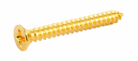 Allparts Bulk Pack of Humbucking Ring Screws Gold 100-p