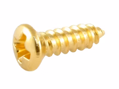 Allparts Bulk Pack of Gibson« Size Pickguard Screws Gold 100-p