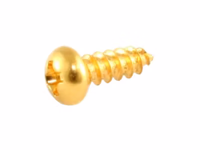 Allparts Trussrod Cover Screws Gold 8-p