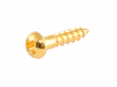 Allparts Small Tuner Screws Gold 16-p