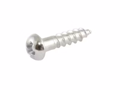 Allparts Small Tuner Screws Chrome 16-p