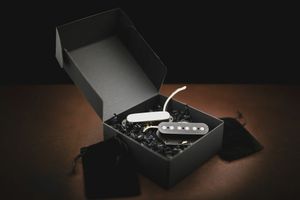 Gramel Guitars Chunky Tele set