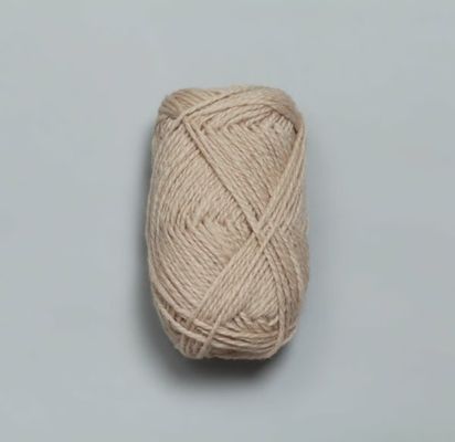 Fivel-025-Kashmir