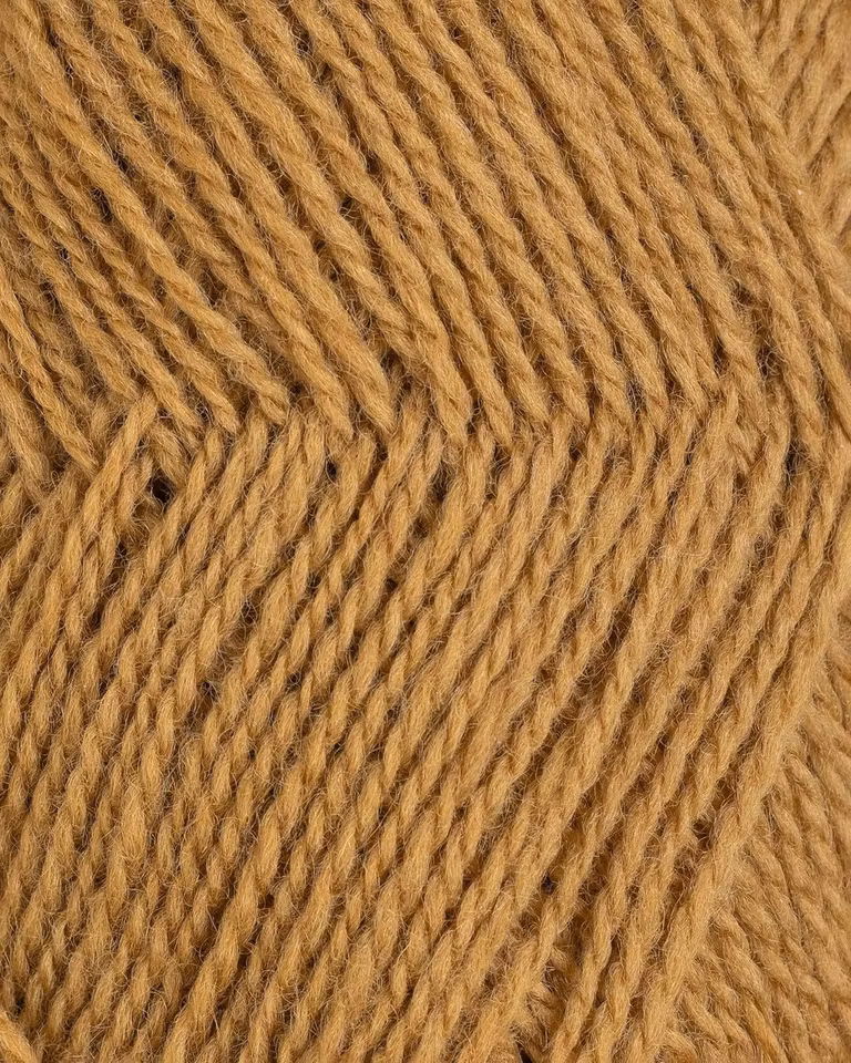 Finull-4067-Kamelbrun